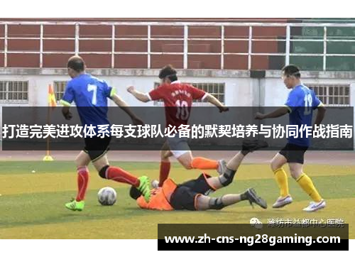 打造完美进攻体系每支球队必备的默契培养与协同作战指南