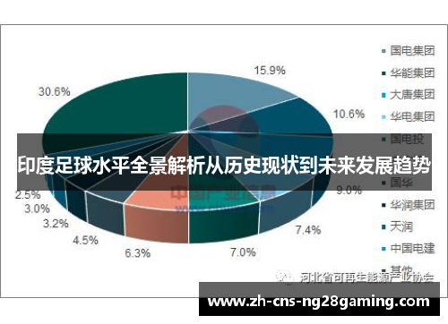 印度足球水平全景解析从历史现状到未来发展趋势