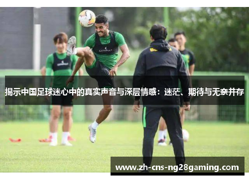 揭示中国足球迷心中的真实声音与深层情感：迷茫、期待与无奈并存
