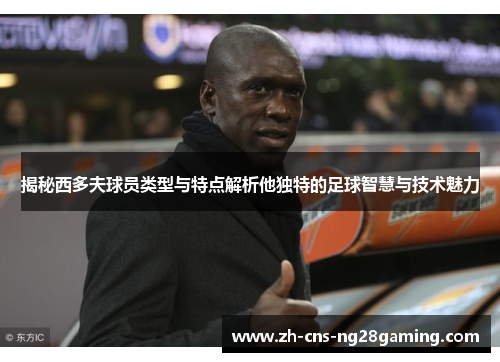 揭秘西多夫球员类型与特点解析他独特的足球智慧与技术魅力