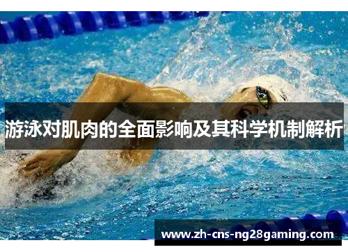游泳对肌肉的全面影响及其科学机制解析