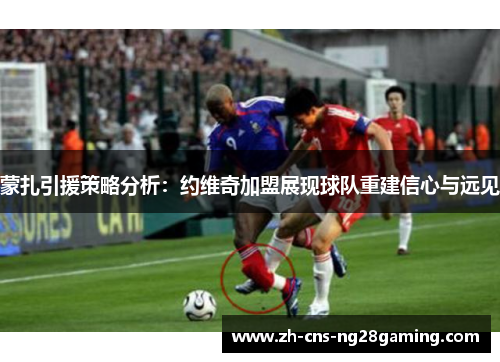 蒙扎引援策略分析：约维奇加盟展现球队重建信心与远见