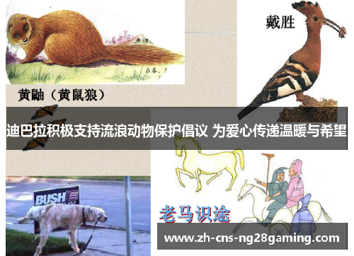 迪巴拉积极支持流浪动物保护倡议 为爱心传递温暖与希望 迪巴拉积极支持流浪动物保护倡议 为爱心传递温暖与希望