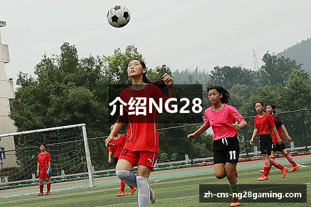 介绍NG28